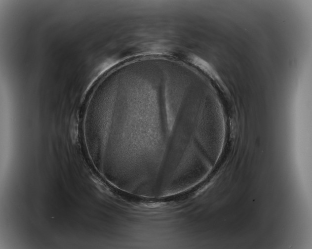 X0000086761260200704201738