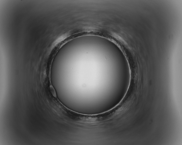 X0000086761261200704201738