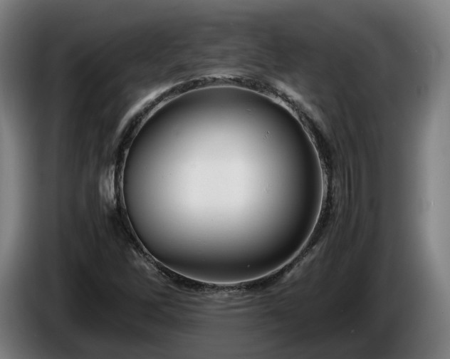 X0000086761262200704201738