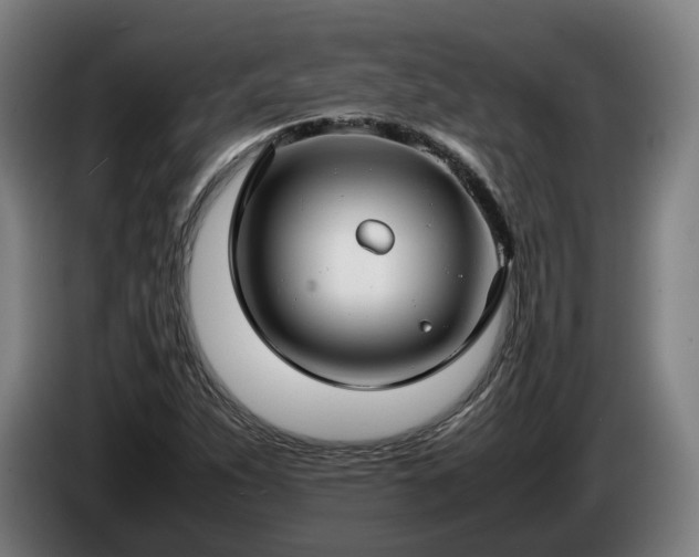 X0000086761263200704201738