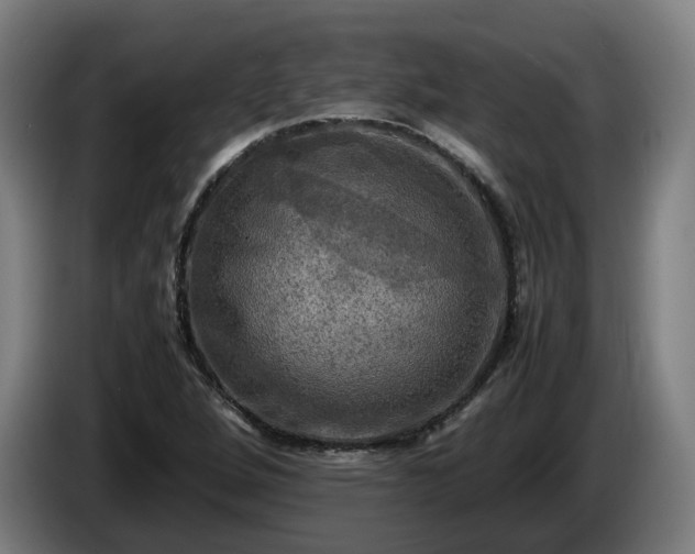 X0000086761264200704201738