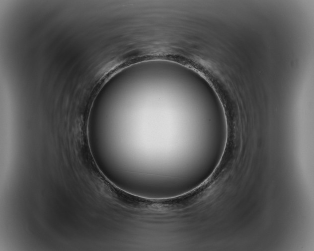 X0000086761265200704201738