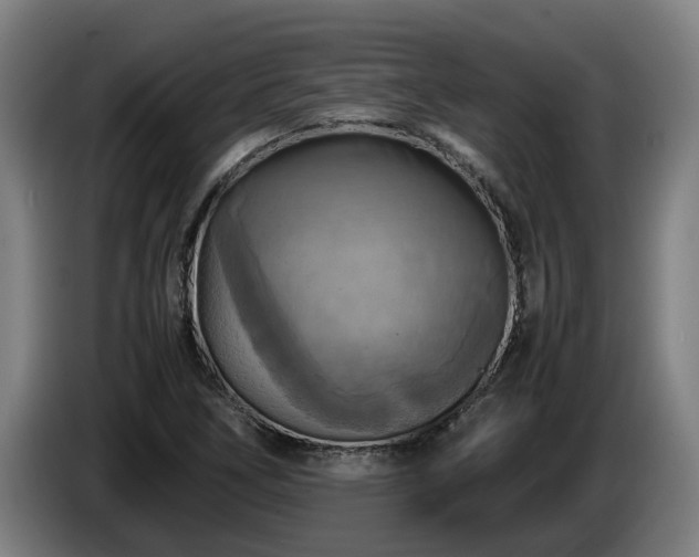 X0000086761266200704201738