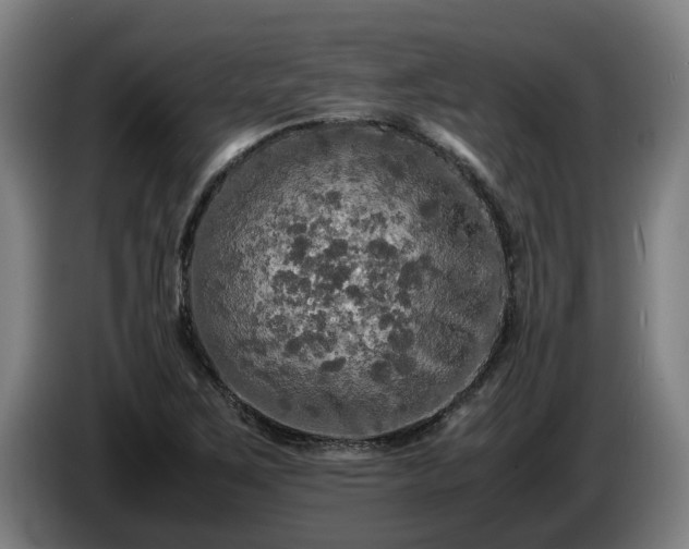 X0000086761267200704201738