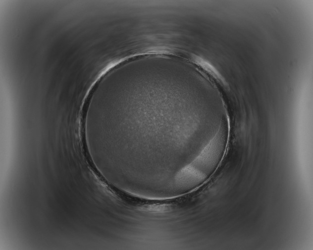X0000086761268200704201738