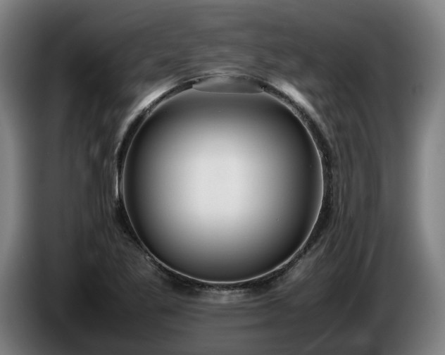 X0000086761269200704201738