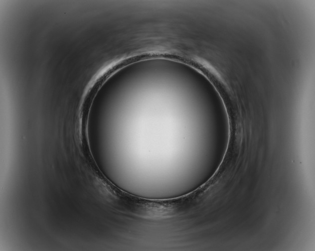 X0000086761270200704201738