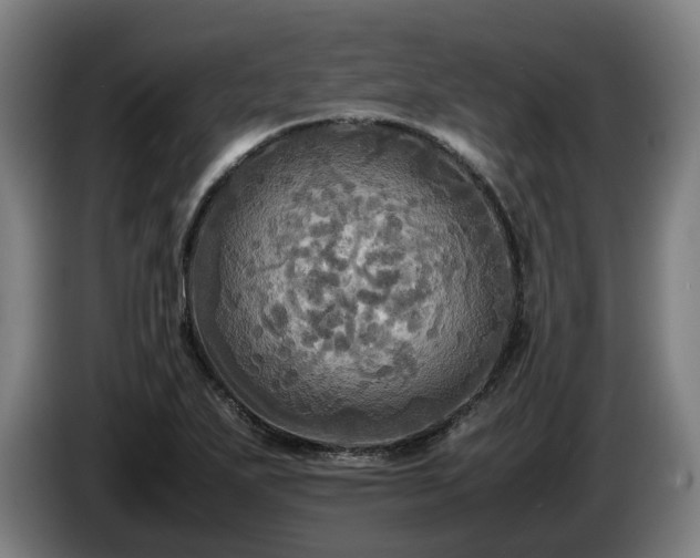 X0000086761271200704201738