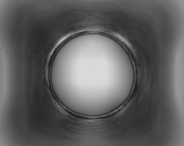 X0000086761272200704201738