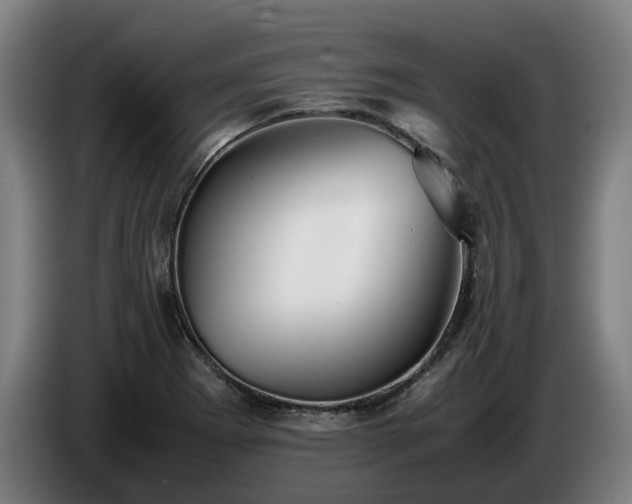 X0000086761273200704201738