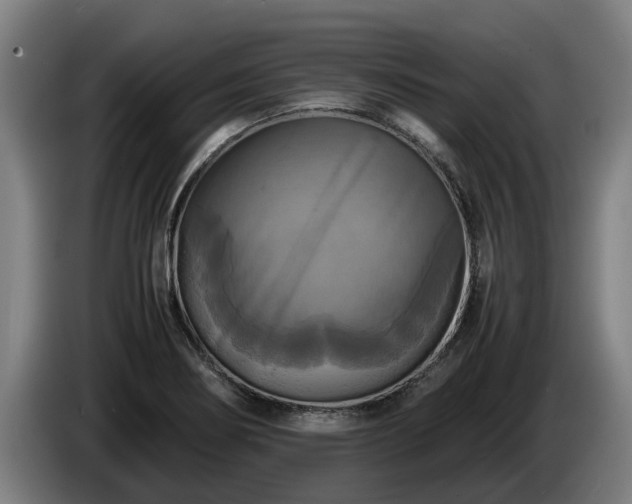 X0000086761274200704201738