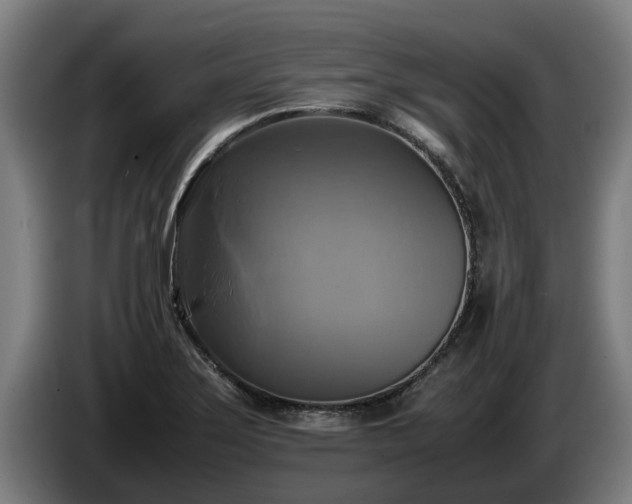 X0000086761275200704201738