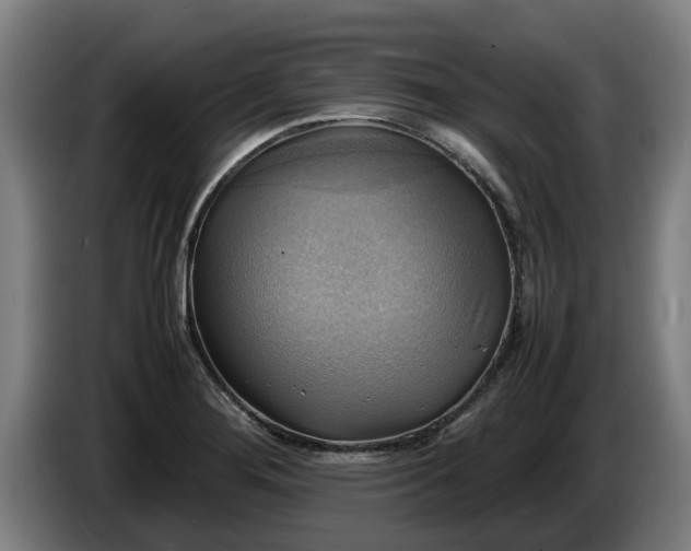 X0000086761276200704201738