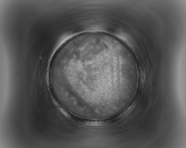 X0000086761278200704201738