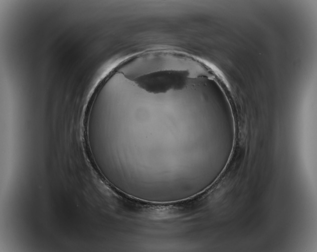 X0000086761279200704201738