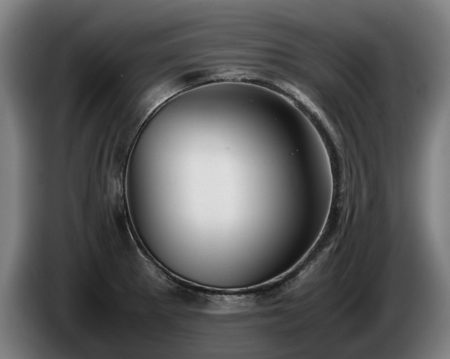 X0000086761281200704201738