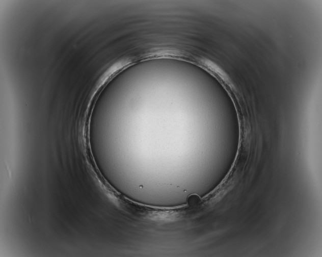 X0000086761282200704201738