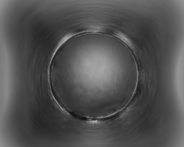 X0000086761283200704201738