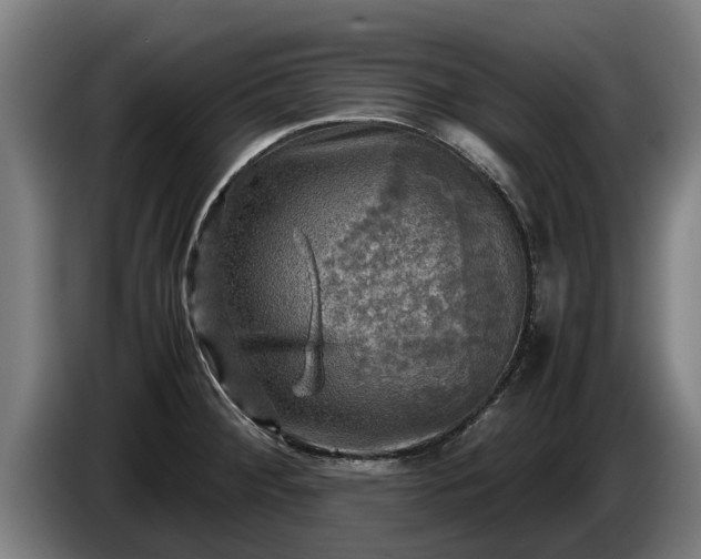 X0000086761284200704201738