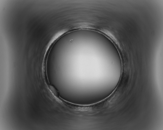 X0000086761285200704201738