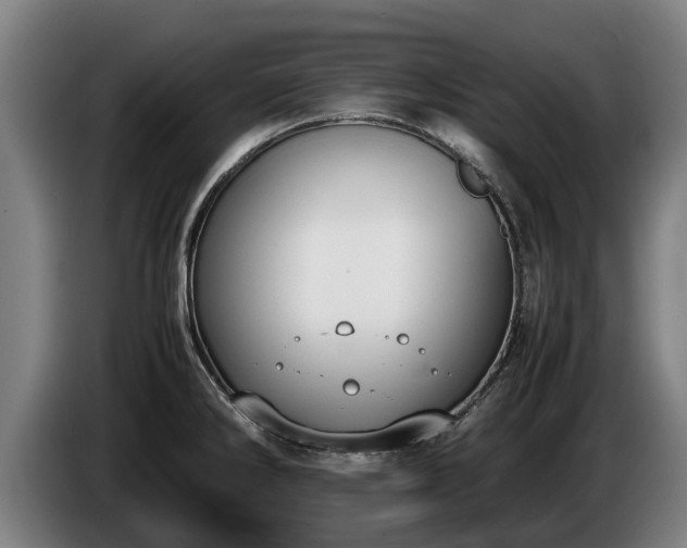 X0000086761286200704201738