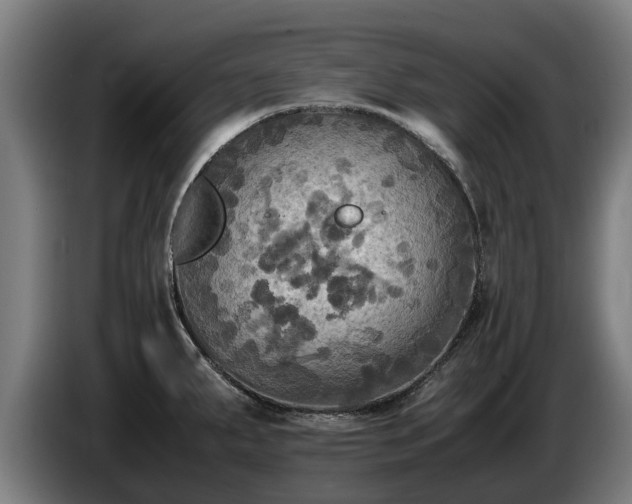 X0000086761287200704201738