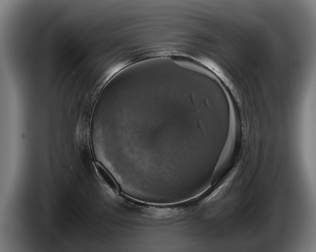 X0000086761289200704201738