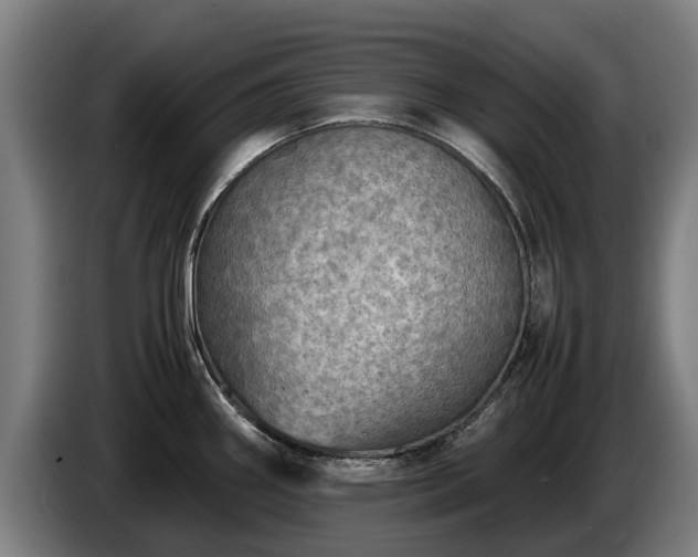 X0000086761290200704201738