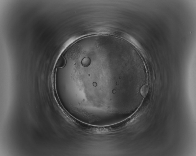 X0000086761291200704201738