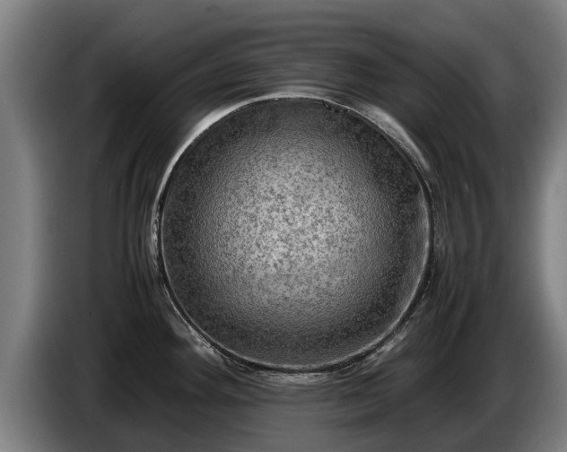 X0000086761292200704201738
