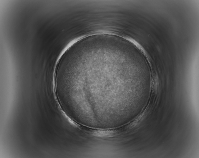 X0000086761294200704201738