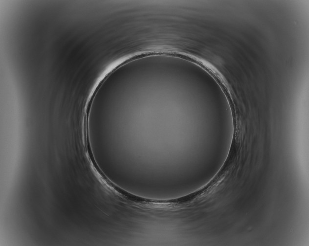 X0000086761295200704201738