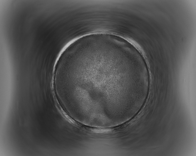 X0000086761296200704201738