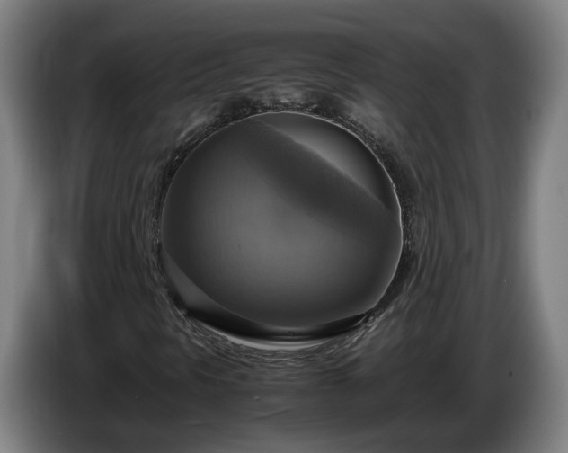 X0000086761297200704201737
