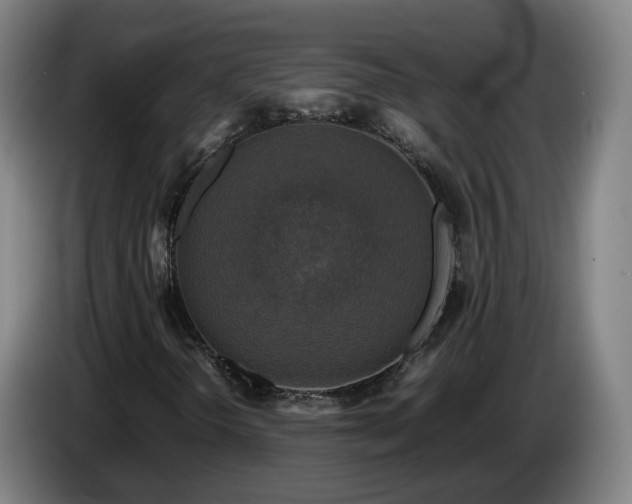 X0000086761298200704201737