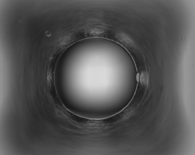 X0000086761299200704201737