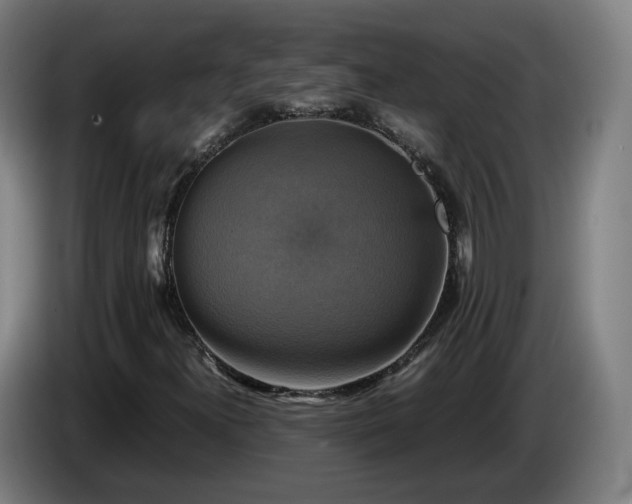 X0000086761300200704201737