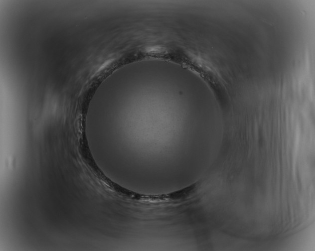 X0000086761301200704201737