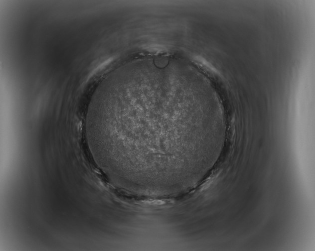X0000086761302200704201737