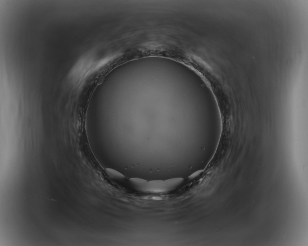 X0000086761303200704201737
