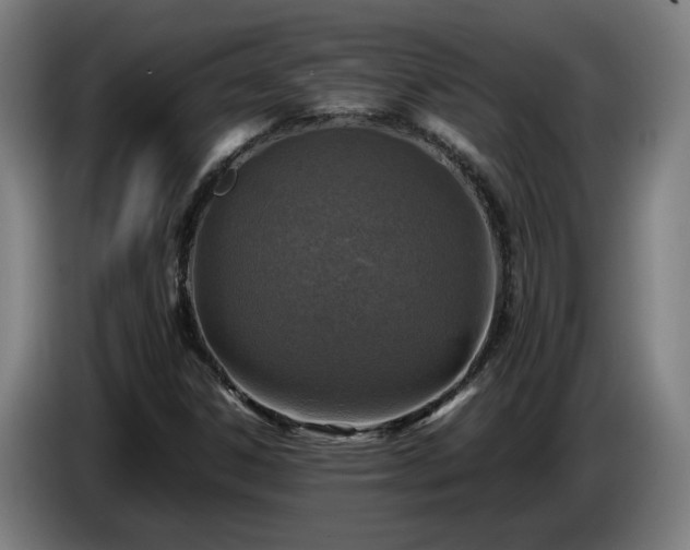 X0000086761306200704201737