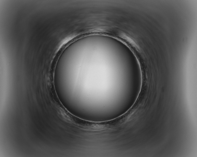 X0000086761308200704201737