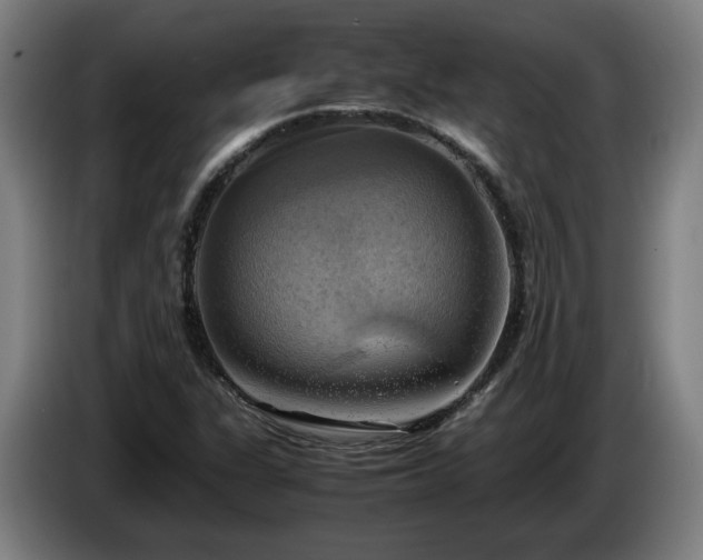 X0000086761311200704201737