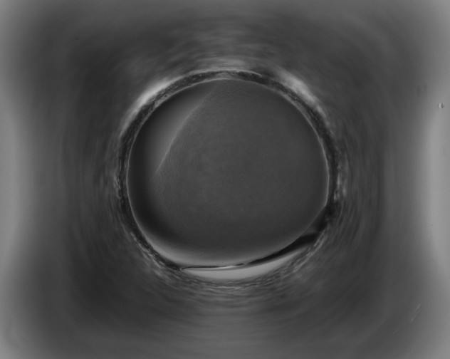 X0000086761312200704201737