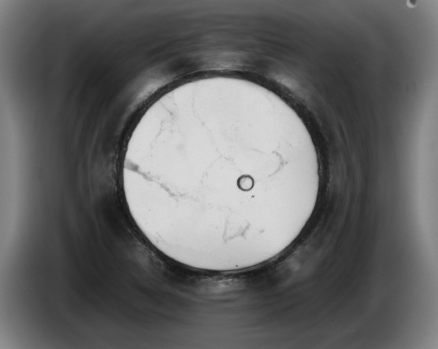 X0000086761314200704201737
