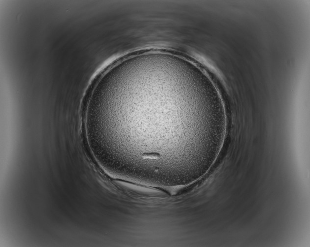 X0000086761316200704201737