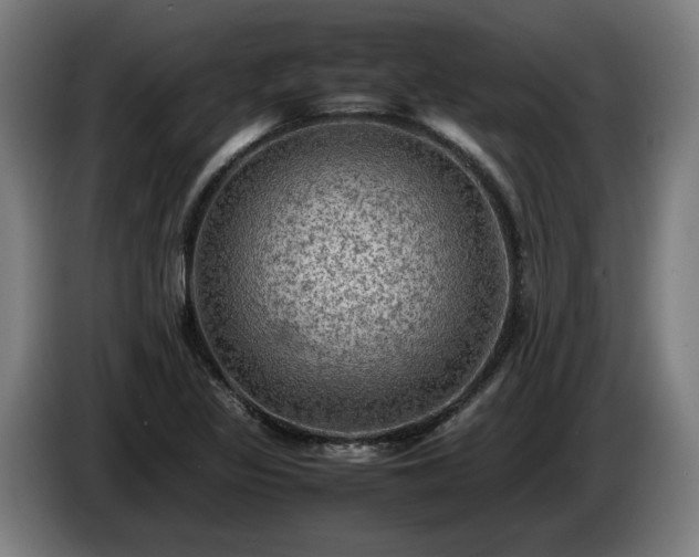 X0000086761317200704201737