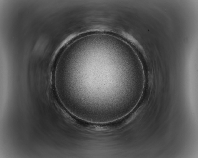 X0000086761318200704201737