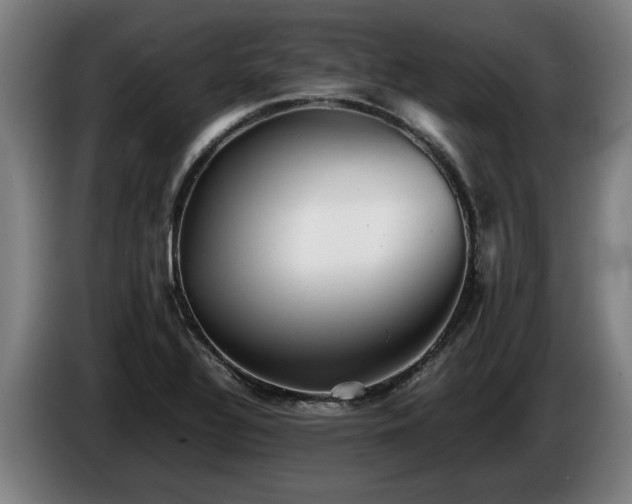 X0000086761320200704201737