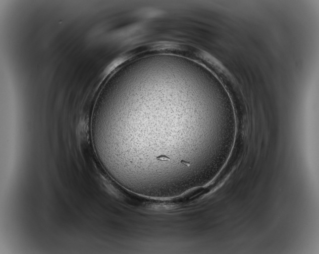X0000086761321200704201737